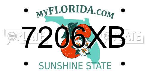 7206XB Florida License Plate