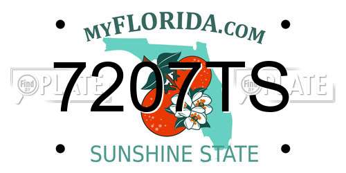 7207TS Florida License Plate
