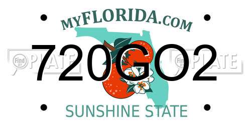 720GO2 Florida License Plate