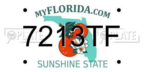7213TF Florida License Plate