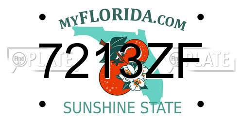7213ZF Florida License Plate