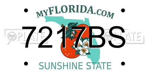 7217BS Florida License Plate