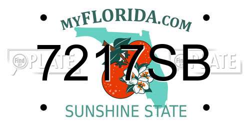 7217SB Florida License Plate