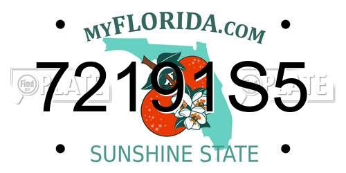 72191S5 Florida License Plate