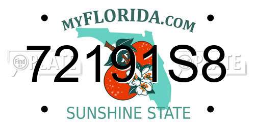 72191S8 Florida License Plate