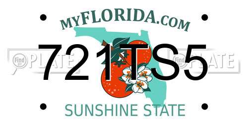 721TS5 Florida License Plate