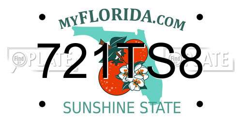 721TS8 Florida License Plate