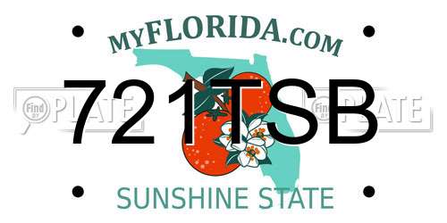 721TSB Florida License Plate