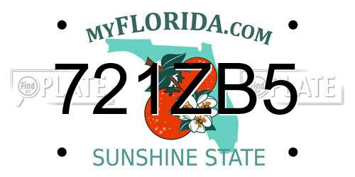 721ZB5 Florida License Plate