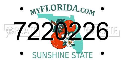 7220226 Florida License Plate