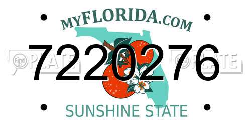 7220276 Florida License Plate