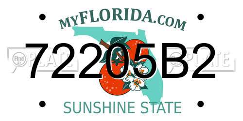 72205B2 Florida License Plate