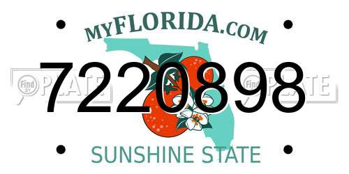 7220898 Florida License Plate