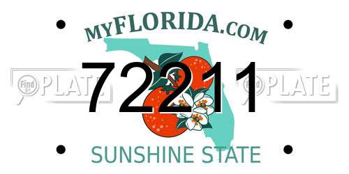 72211 Florida License Plate