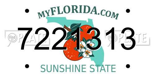 7221313 Florida License Plate