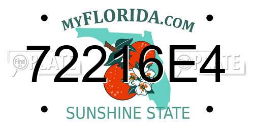 72216E4 Florida License Plate