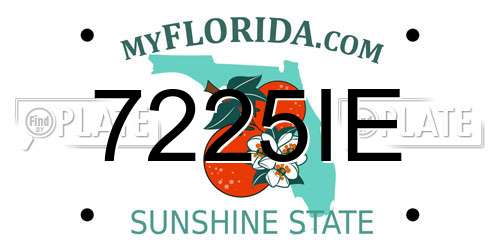 7225IE Florida License Plate