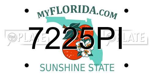 7225PI Florida License Plate