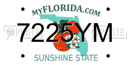 7225YM Florida License Plate