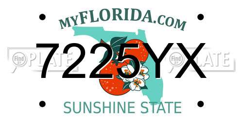 7225YX Florida License Plate