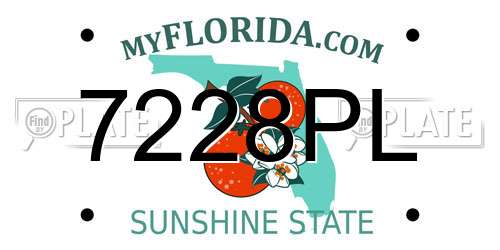 7228PL Florida License Plate