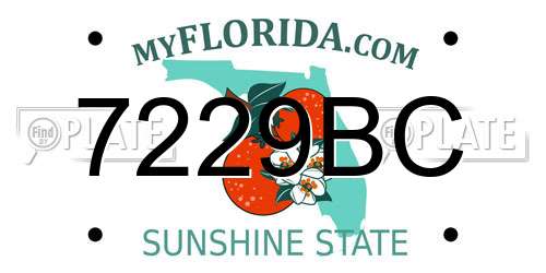 7229BC Florida License Plate