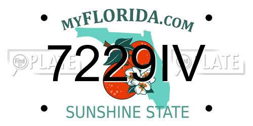 7229IV Florida License Plate