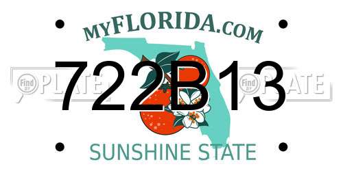 722B13 Florida License Plate