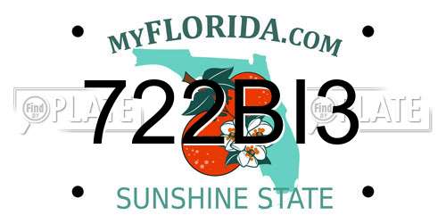 722BI3 Florida License Plate