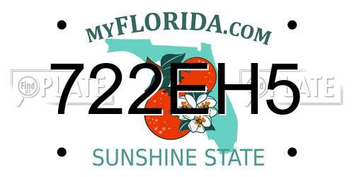 722EH5 Florida License Plate
