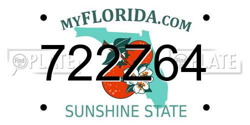 722Z64 Florida License Plate