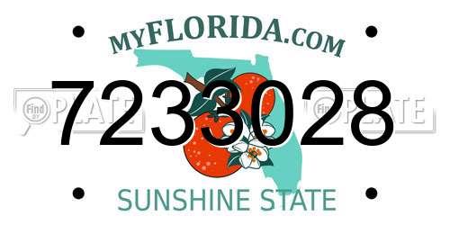 7233028 Florida License Plate