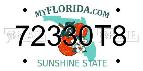 72330T8 Florida License Plate