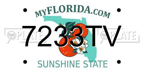 7233TV Florida License Plate