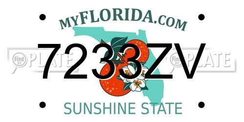7233ZV Florida License Plate