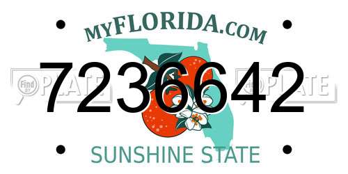 7236642 Florida License Plate