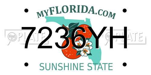 7236YH Florida License Plate