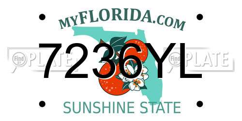 7236YL Florida License Plate