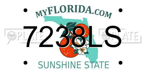 7238LS Florida License Plate