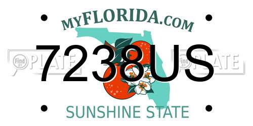 7238US Florida License Plate