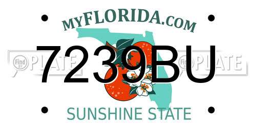 7239BU Florida License Plate