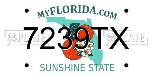 7239TX Florida License Plate