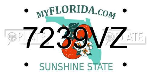 7239VZ Florida License Plate