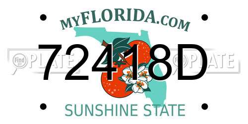 72418D Florida License Plate