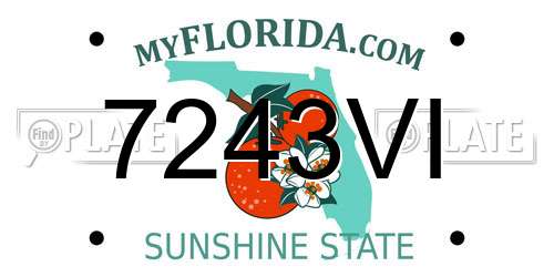 7243VI Florida License Plate