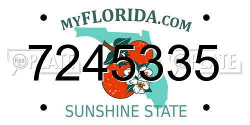 7245335 Florida License Plate