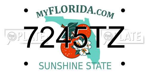 7245TZ Florida License Plate