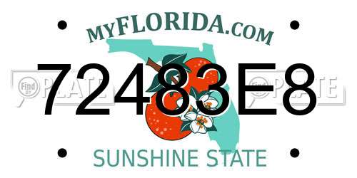 72483E8 Florida License Plate