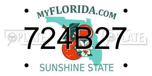 724B27 Florida License Plate