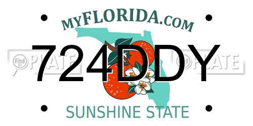 724DDY Florida License Plate